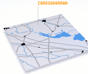 3d view of Cane Savannah