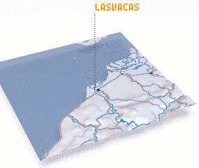 3d view of Las Vacas