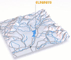 3d view of El Papayo