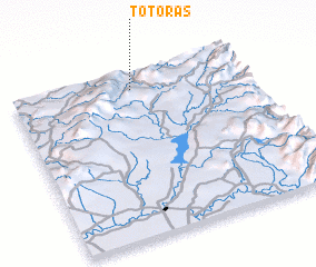 3d view of Totoras