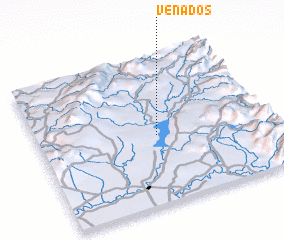 3d view of Venados