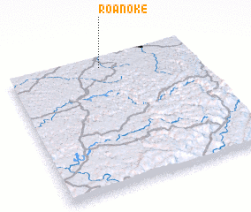 3d view of Roanoke