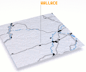 3d view of Wallace