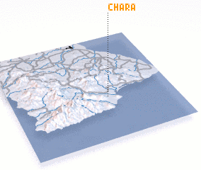 3d view of Chara