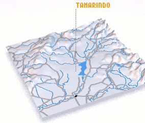 3d view of Tamarindo