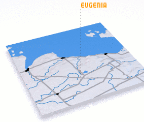 3d view of Eugenia