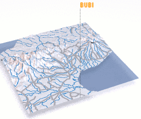 3d view of Bubi