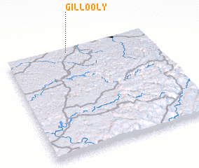 3d view of Gillooly