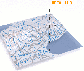 3d view of Juncalillo