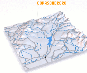 3d view of Copa Sombrero
