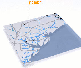 3d view of Briars