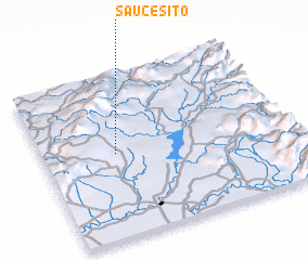 3d view of Saucesito