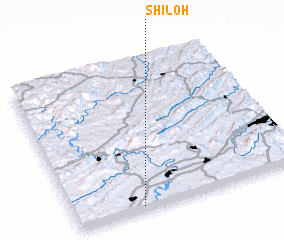 3d view of Shiloh