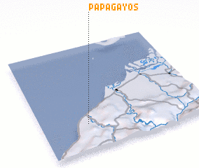 3d view of Papagayos