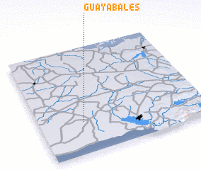 3d view of Guayabales