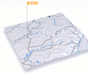 3d view of Bison