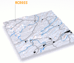 3d view of McRoss