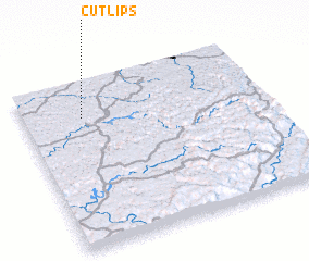 3d view of Cutlips