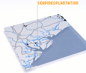 3d view of Sea Pines Plantation