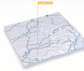 3d view of Bingham