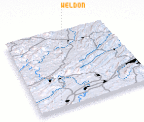 3d view of Weldon