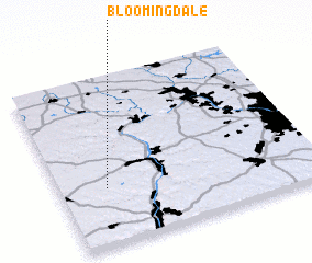 3d view of Bloomingdale