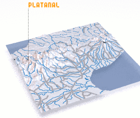 3d view of Platanal