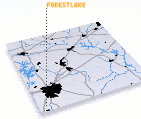 3d view of Forest Lake