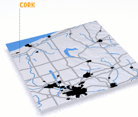 3d view of Cork