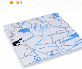 3d view of Milnet