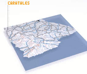 3d view of Caratales