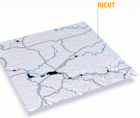 3d view of Nicut