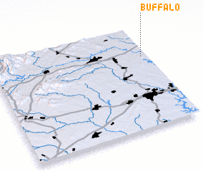 3d view of Buffalo