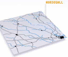 3d view of Horsegall