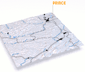 3d view of Prince