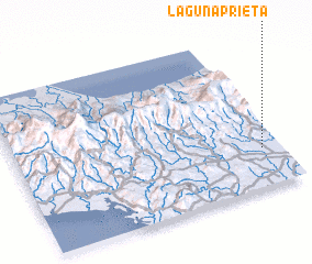 3d view of Laguna Prieta