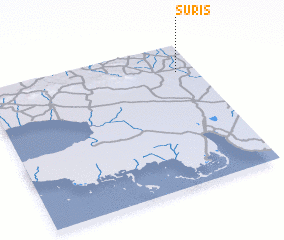 3d view of Surís