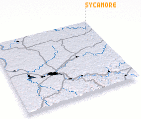 3d view of Sycamore