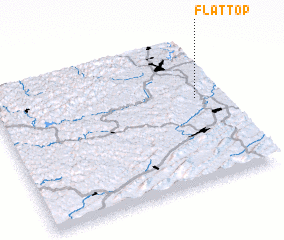 3d view of Flat Top