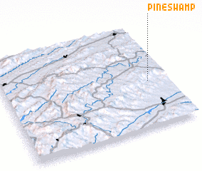 3d view of Pine Swamp