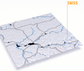 3d view of Swiss