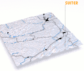 3d view of Suiter