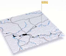 3d view of King