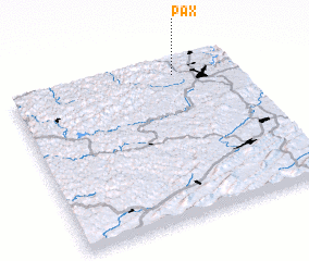3d view of Pax