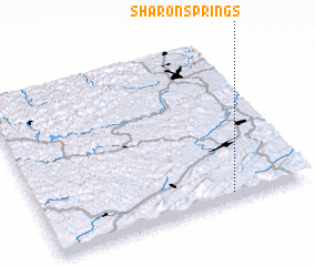 3d view of Sharon Springs