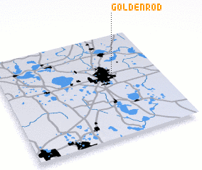 3d view of Goldenrod