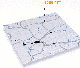 3d view of Triplett