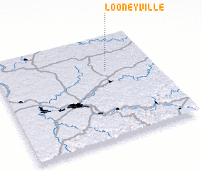 3d view of Looneyville