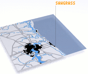 3d view of Sawgrass