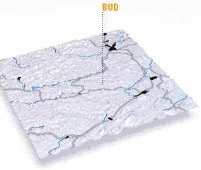 3d view of Bud